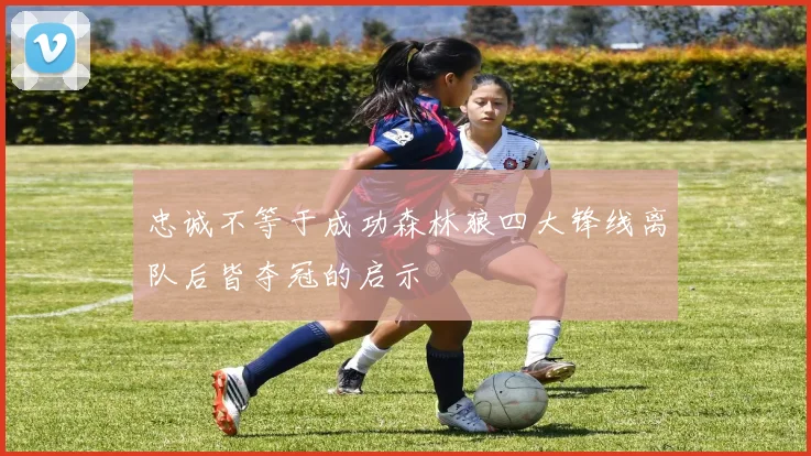 忠诚不等于成功森林狼四大锋线离队后皆夺冠的启示